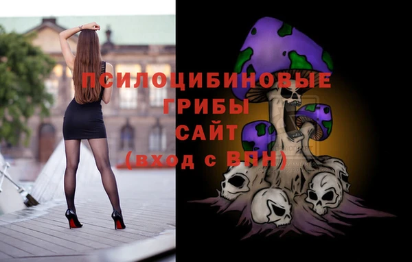apvp Алексеевка