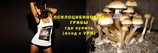 дмт Алзамай