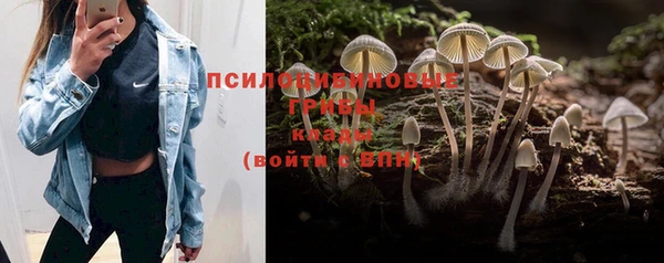 дмт Алзамай