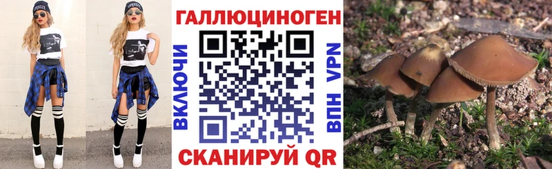 купить  сайты  Елабуга  Псилоцибиновые грибы MAGIC MUSHROOMS 
