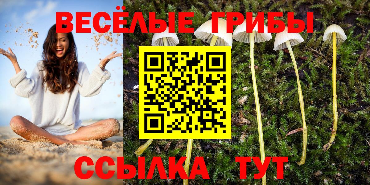 Псилоцибиновые грибы ЛСД Елабуга