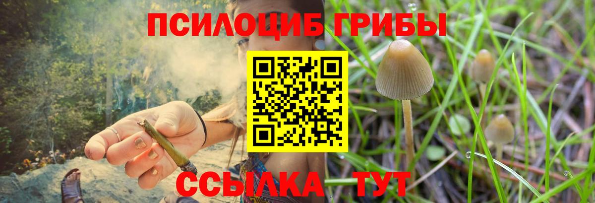 Псилоцибиновые грибы Magic Shrooms  Вход с VPN  где купить наркотик  Елабуга 