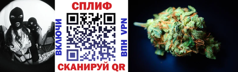 Бошки марихуана Amnesia  дарнет шоп  Елабуга 